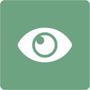 eye